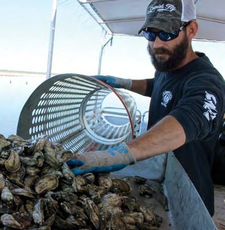 outlaw oyster founder blake