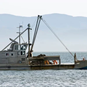 The Decline of Texas Oysters: Climate Change and Overharvesting