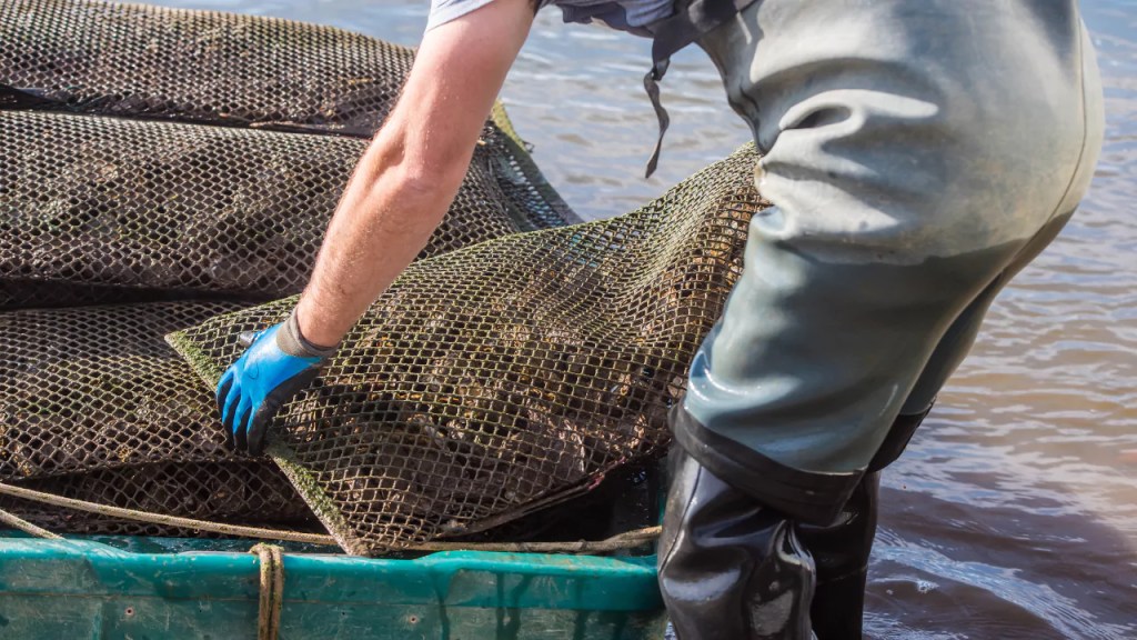 rack and bag aquaculture method