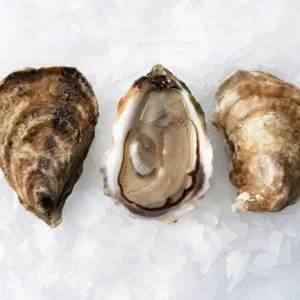 Shipwreck Select Oysters