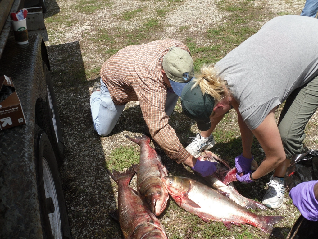 What commercial fishing actually looks like.......