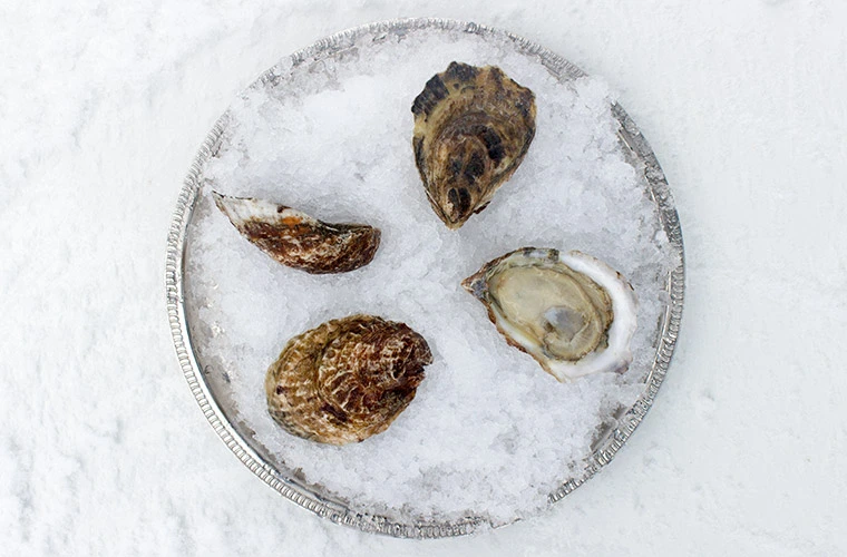 Riptide oysters reference to thier appearance.