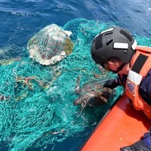 Topsail, NC: Unraveling Their Opposition to Shellfish Leases