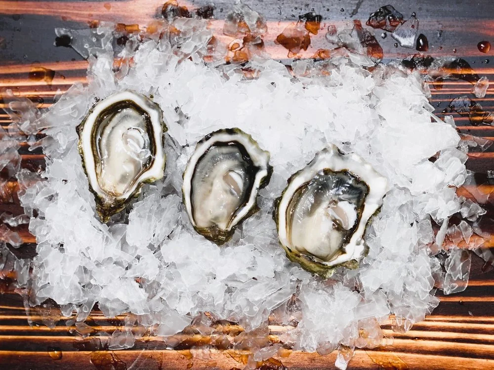 deer creek oysters on a bed of ice. This is a reference to thier appearance.
