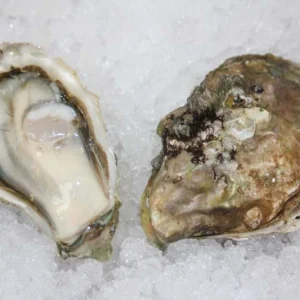 Pickering Pass Oysters