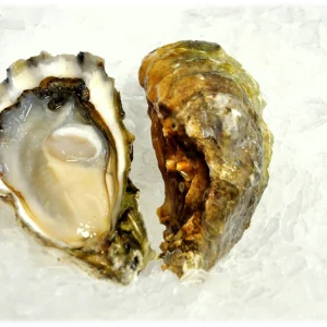 Dabob Bay Oysters