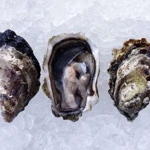 Fanny Bay Oysters