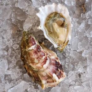 Highwaters Oysters