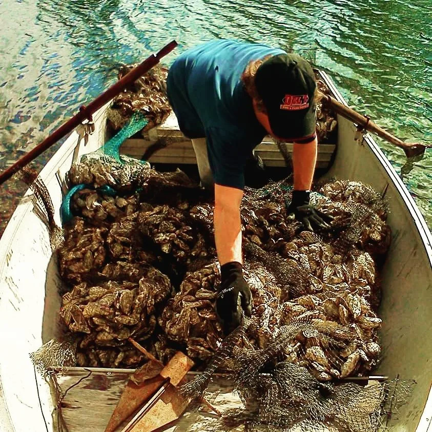 emerald acres oyster farm's kevin riley