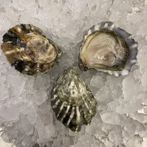 Sumo Kumo Oysters