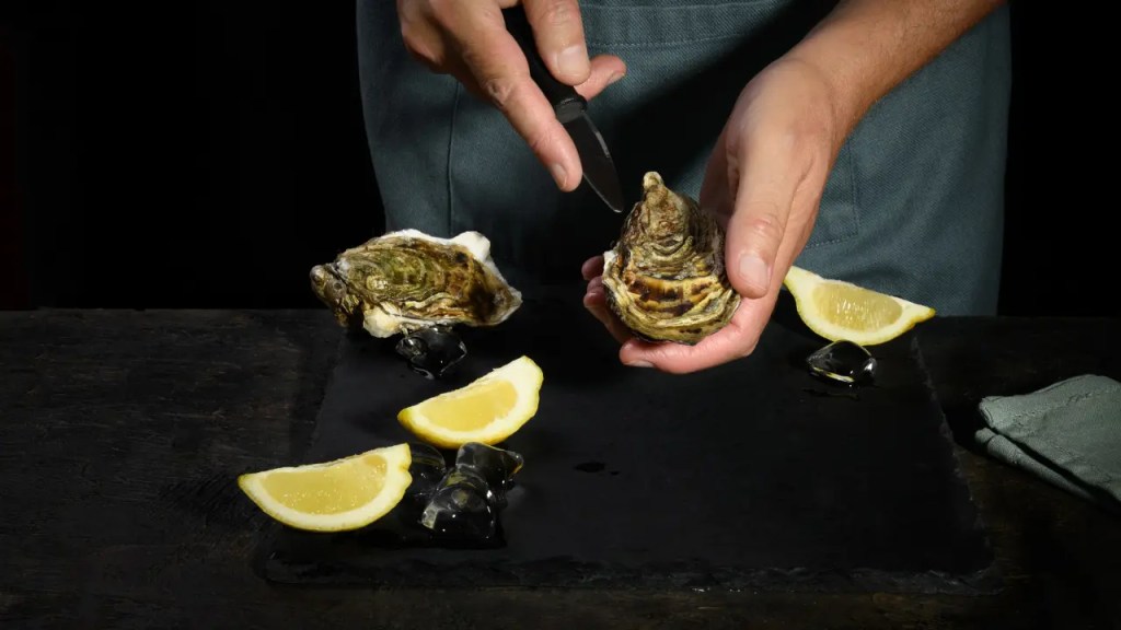 Step 2 is to insert the knife. Man shucking oyster with oyster knife.