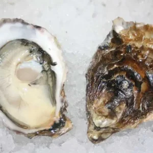Barron Point Oysters
