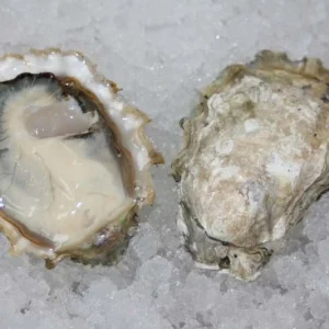 Calm Cove Oysters