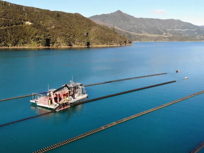 Flipfarm Revolutionizes Oyster Aquaculture