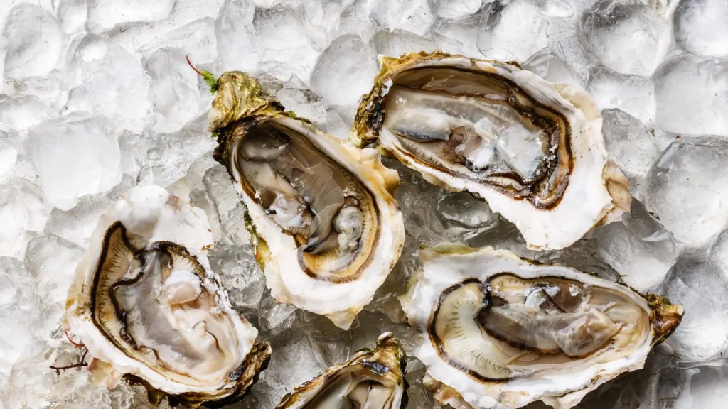 Phantom creek oysters on ice