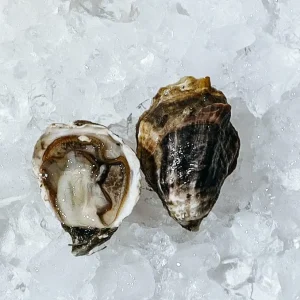 Kiku Kumamoto Oysters