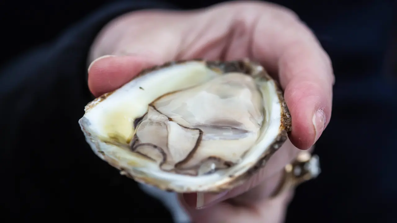 You are currently viewing Mastering the Art of Shucking Oysters: A Step-by-Step Guide