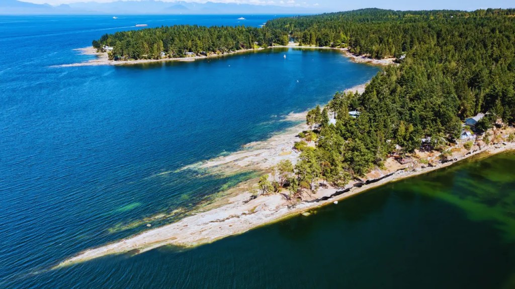 Malaspina inlet where Malaspina oysters are located.
