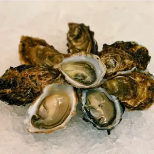 Marin Miyagi Oysters