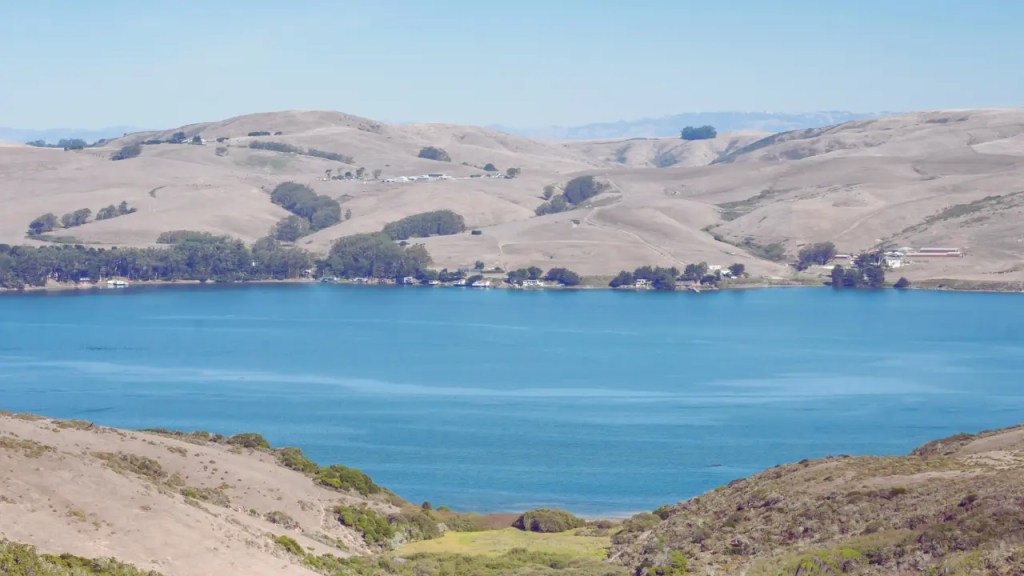Marin county, Tomales Bay California