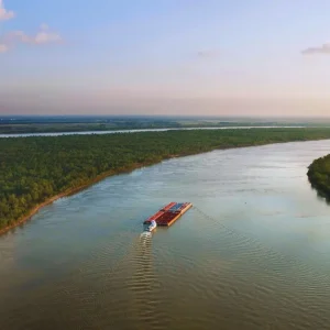 Louisiana’s Saltwater Wedge: Oyster Gains Amid Business Pains