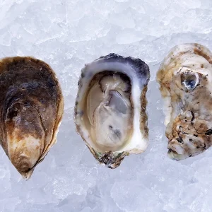 Shooting Point Salts Oysters