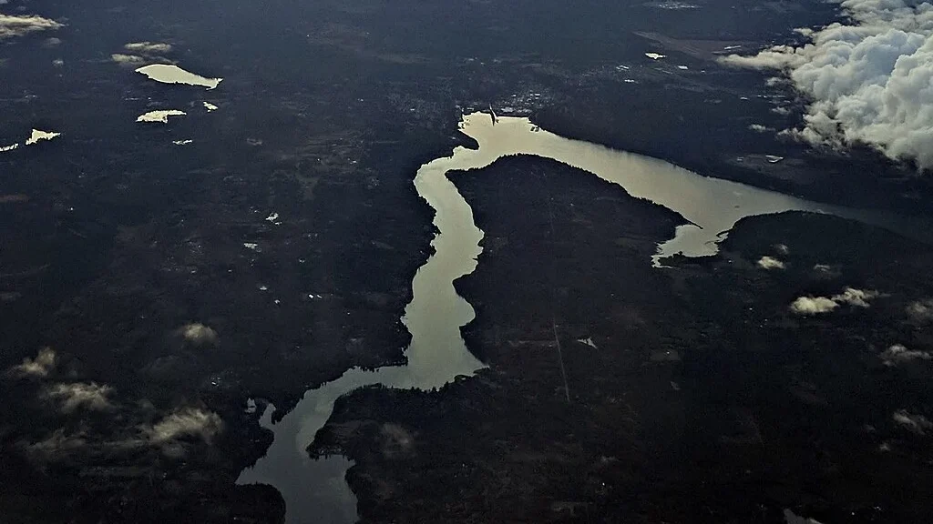 Sea Cow Oysters - The Oyster Encyclopedia