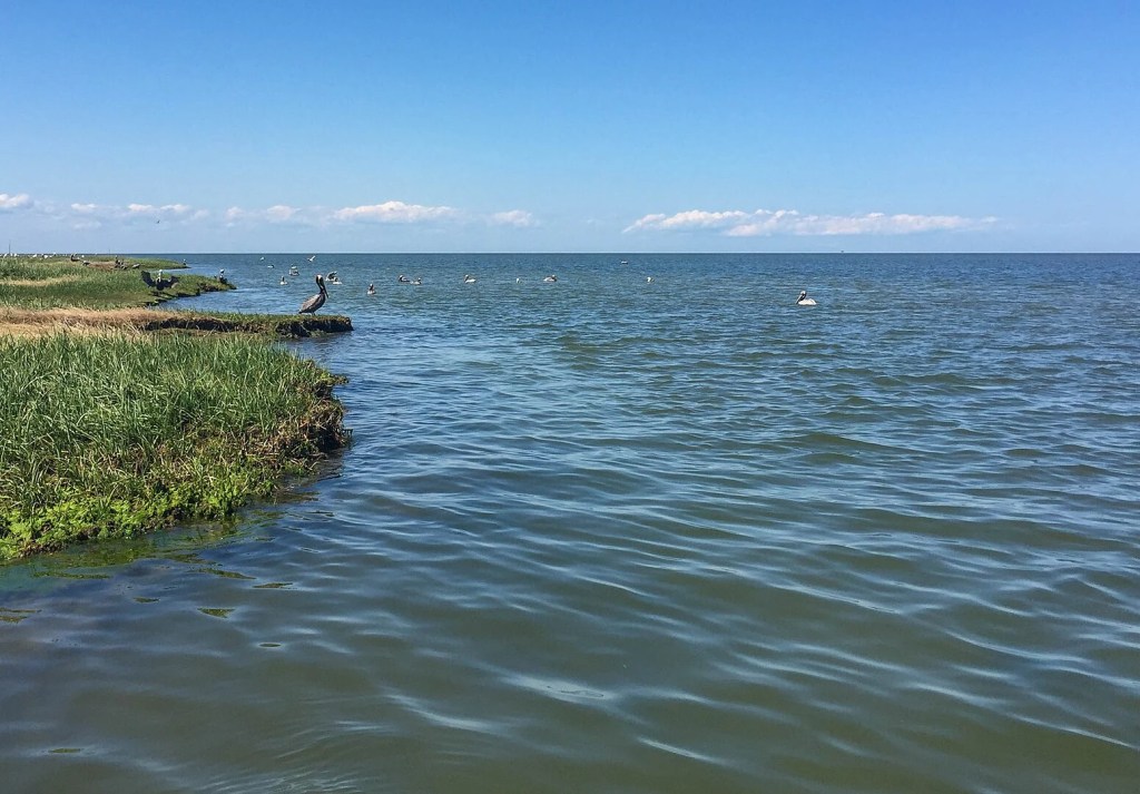 view of cape lookout NC