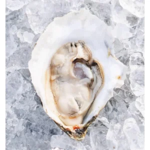 Bekah’s Bay Oysters