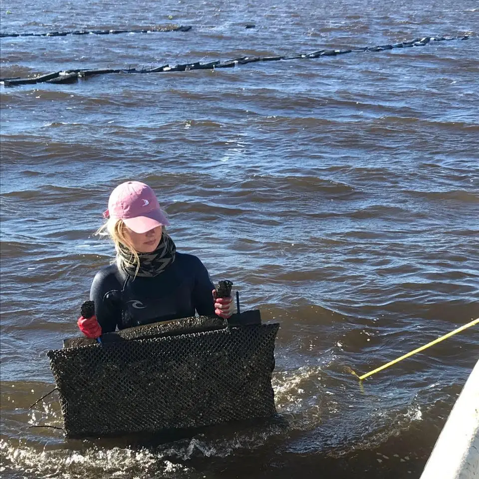Rebekah doing her thing at the oyster farm