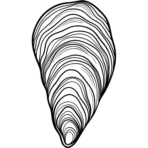 Oyster Encyclopedia logo