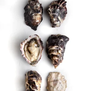 Royal Miyagi Oysters