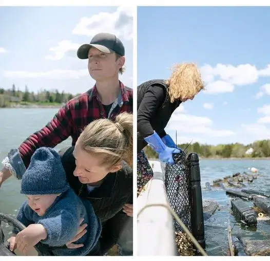 aphrodite oysters company operators