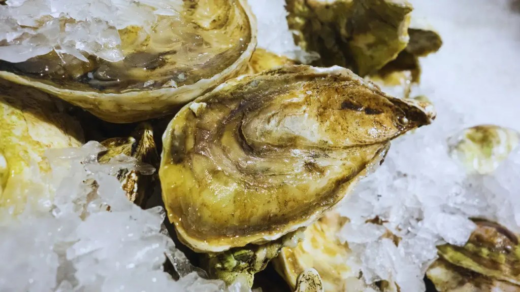 Love Shuck oysters