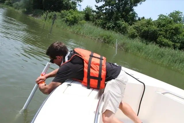 harvesting wild oysters reference