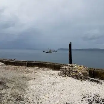 scene from national fish and oyster company