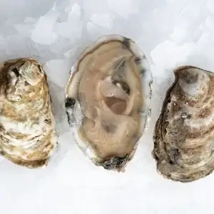 Stormy Bay Oysters