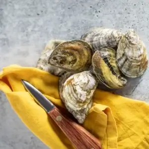 Chunu Oysters