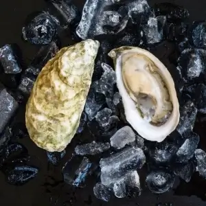Moon Shoal Oysters