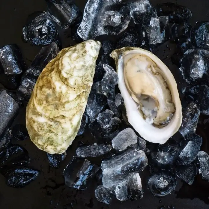 moon shoal oysters