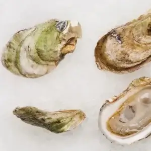 Lady Chatterley Oysters