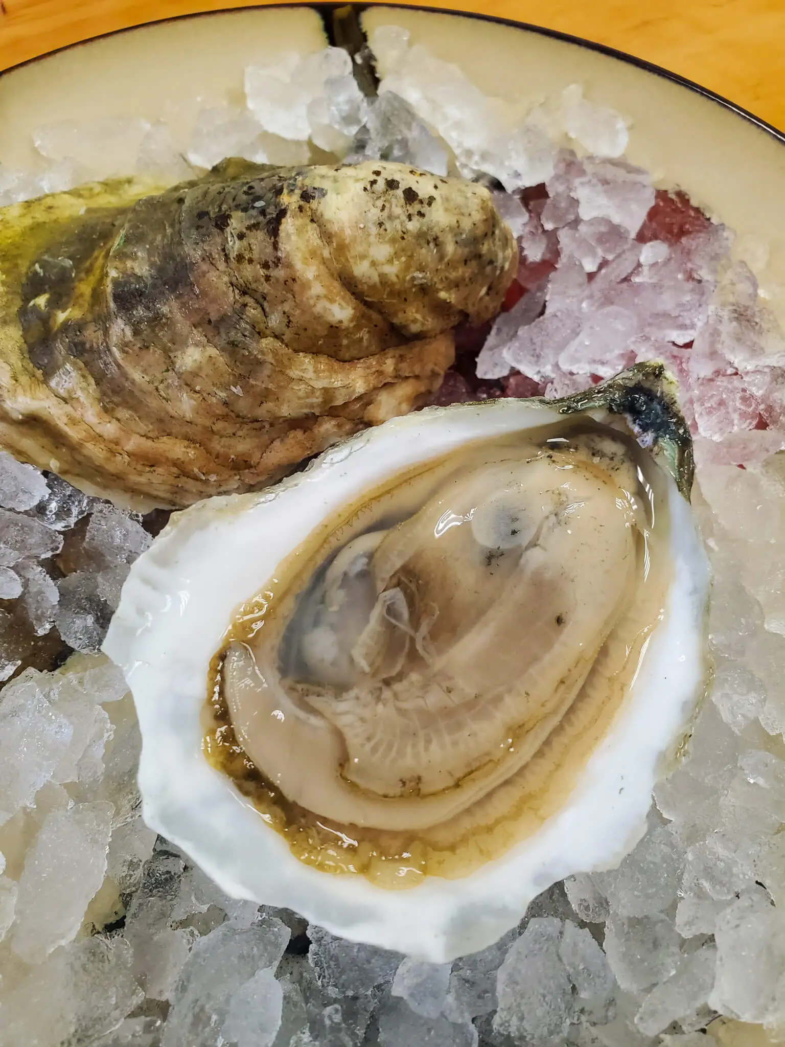 three bays oysters
