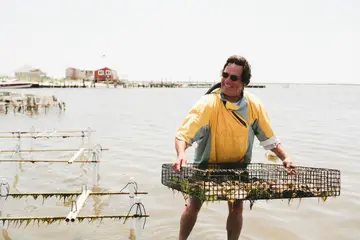Chuck Westfall for blue island oysters