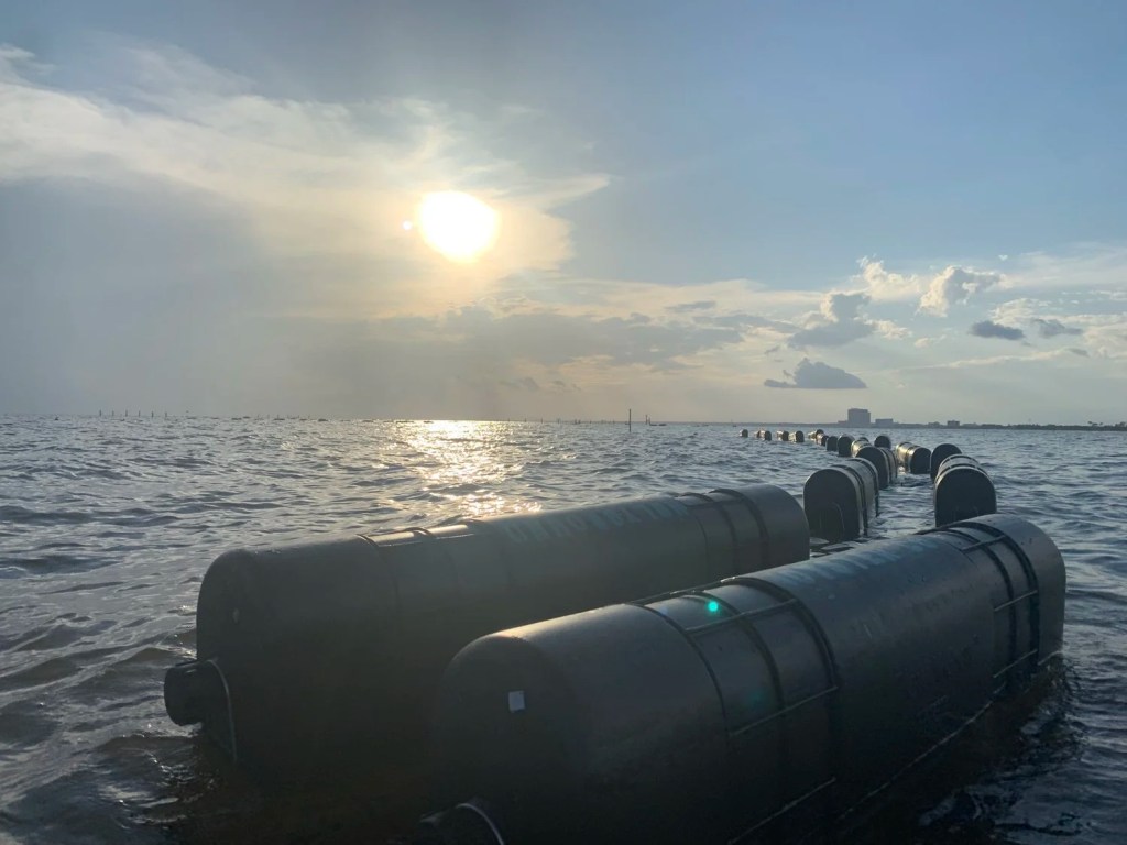 floating bags at holy ground oyster company