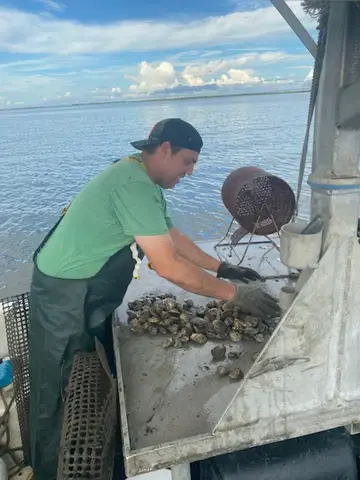 jason pitre operator of bayou rosa oysters