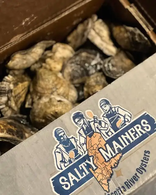 salty mainer oysters in thier packaging