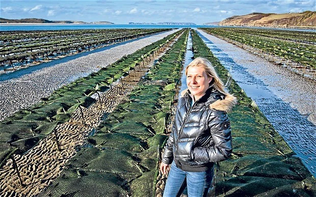 An oyster farm at Kyle of Tongue estuary in Scotland showing parallel rows of green mesh oyster bags on tidal flats during low tide. The landscape features coastal hills and blue waters in the background under a bright sky. A person in a black puffer jacket stands among the oyster cultivation racks