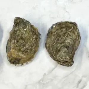 Cumbrae Rock Oysters