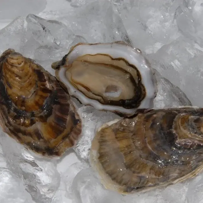 cumbrae select oysters