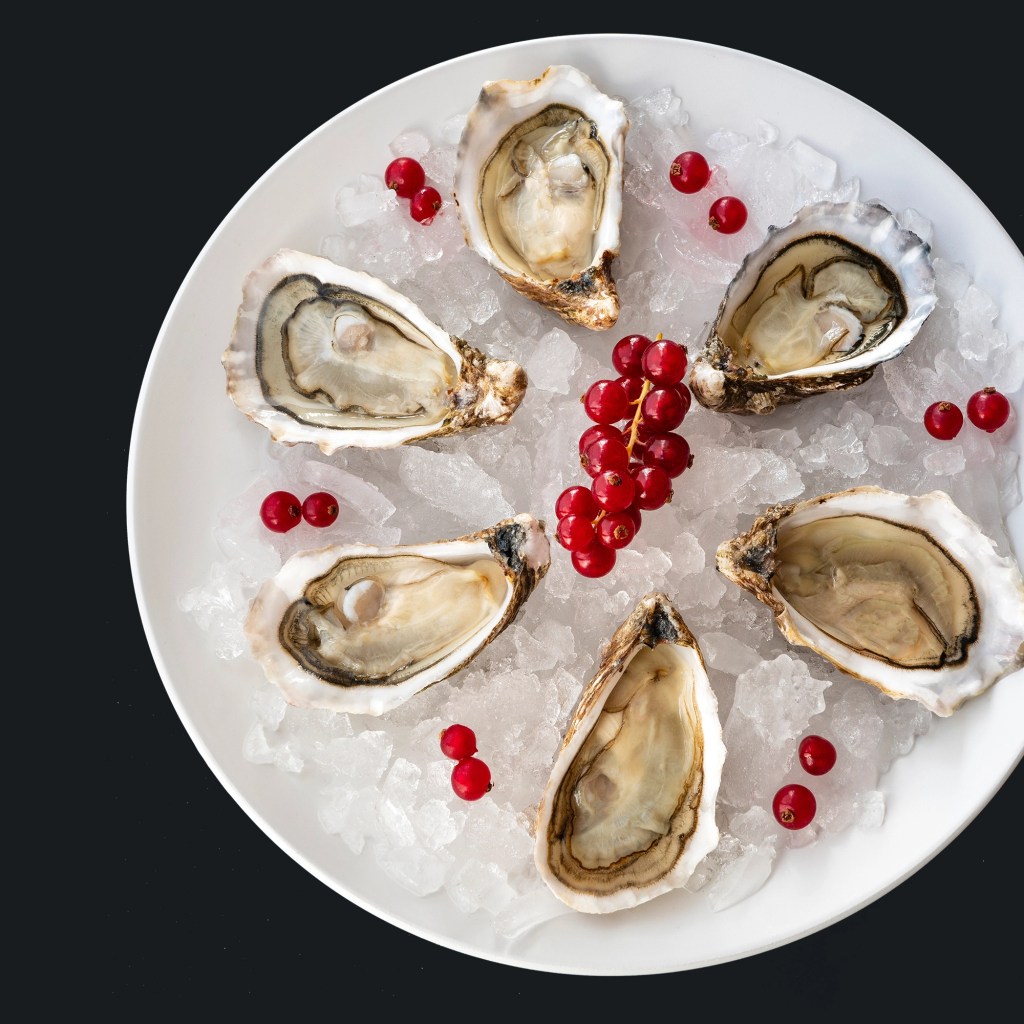 loch fyne rock oysters